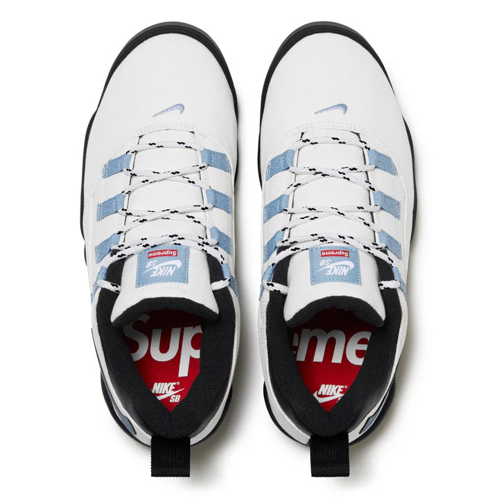 Nike SB Darwin Low Supreme Sail Blue, Bird Eye View