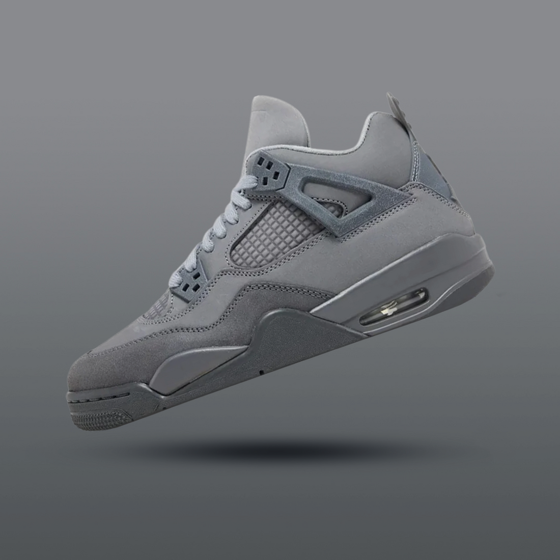 Air Jordan 4 We tCement, Side View 2